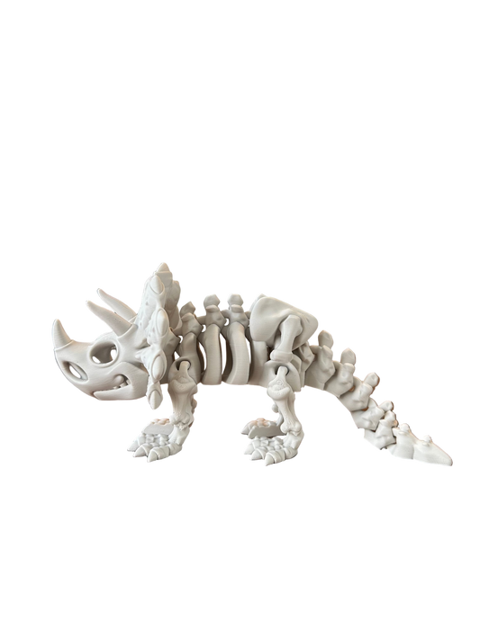 🦕 Triceratops– Squelette 3D articulé