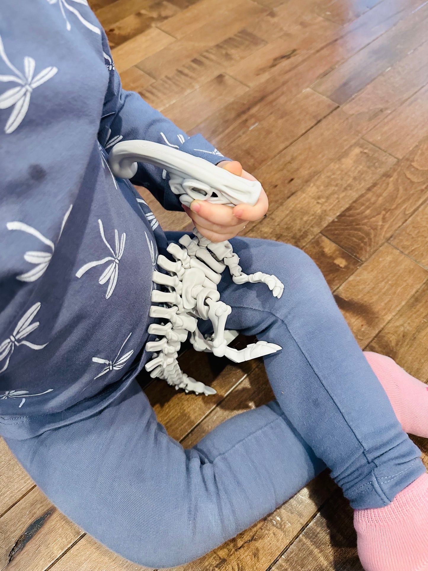 🦕 Parasaurolophus – Squelette 3D