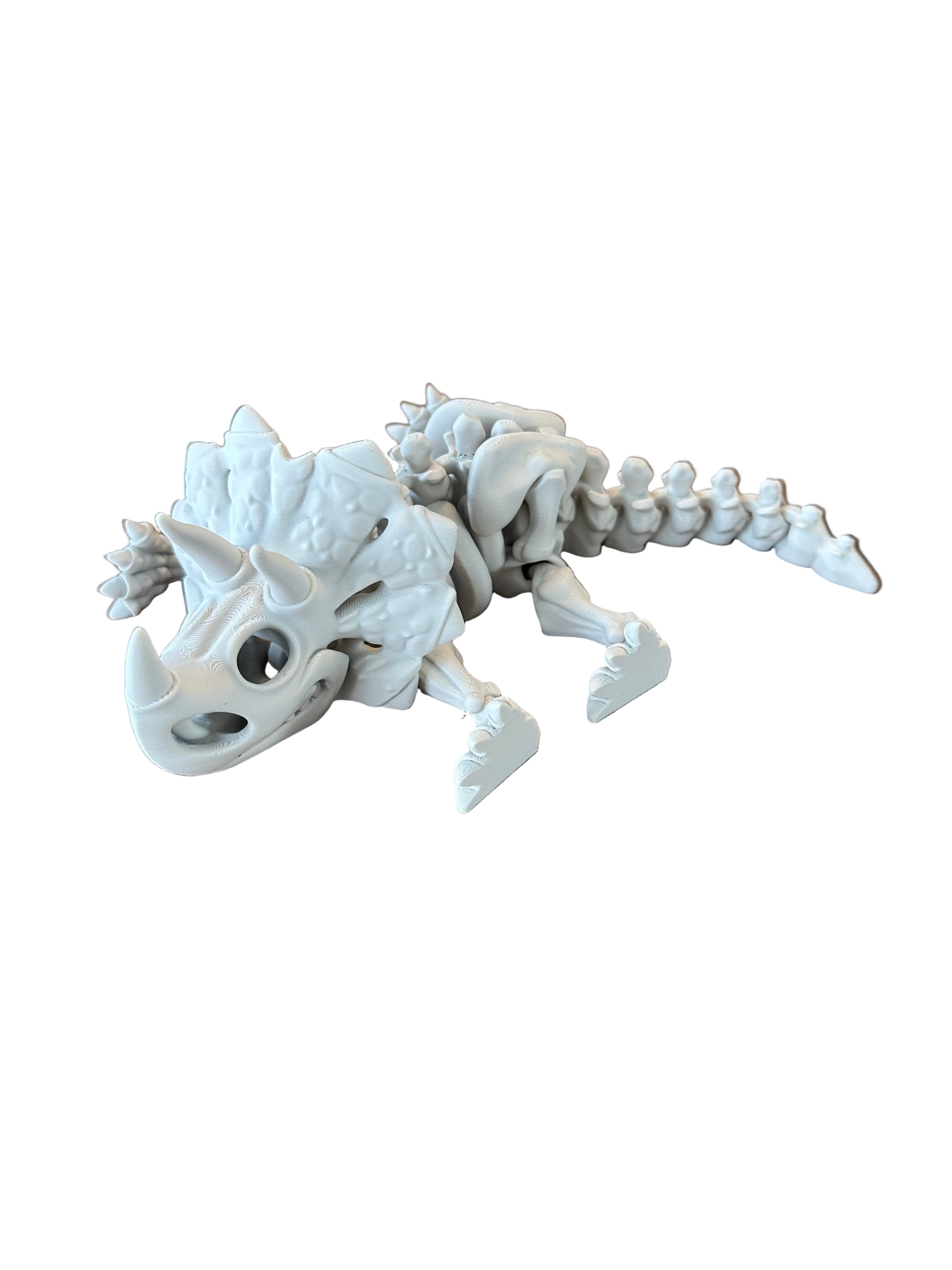 🦕 Triceratops– Squelette 3D articulé