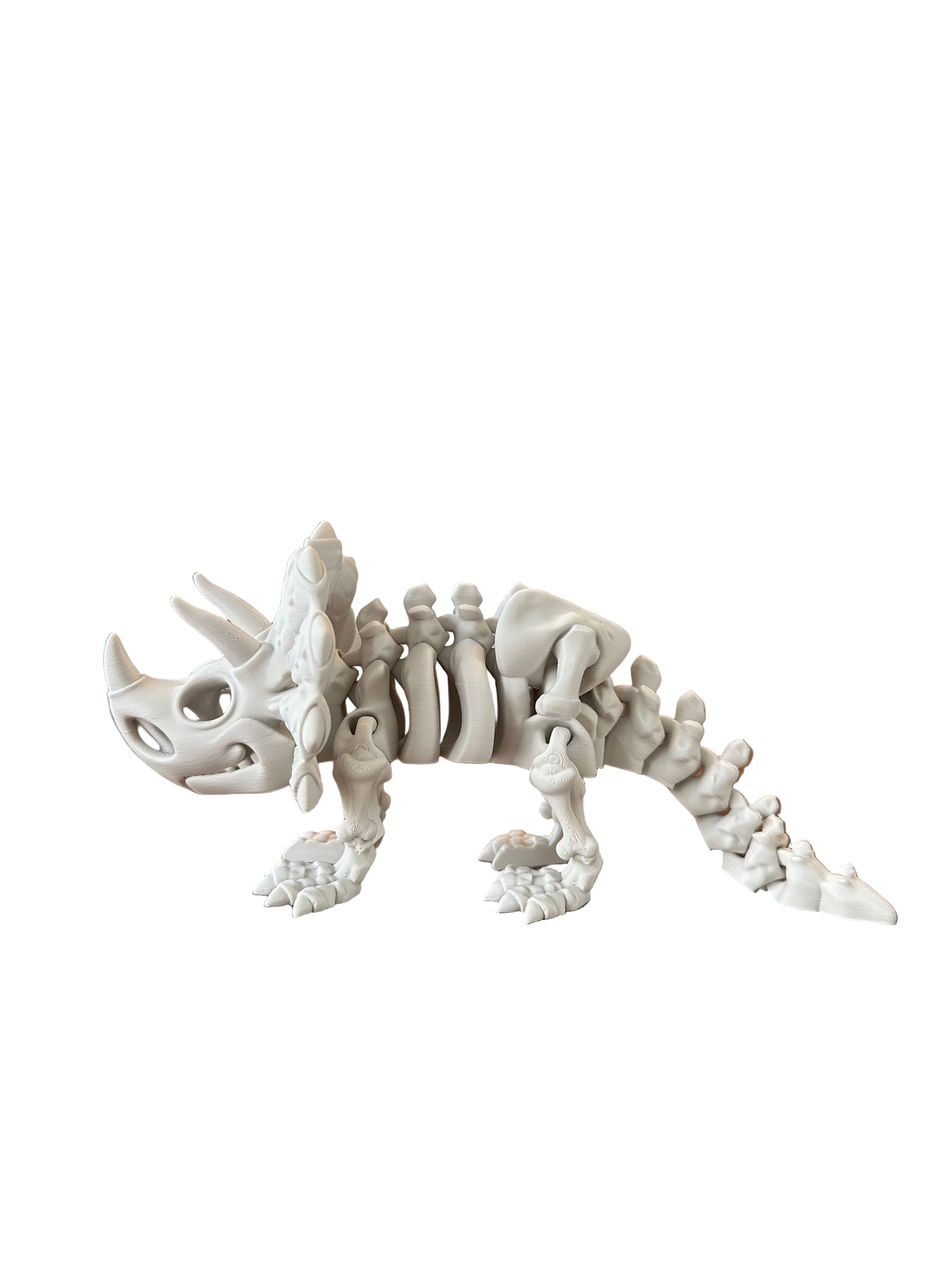 🦕 Triceratops– Squelette 3D articulé
