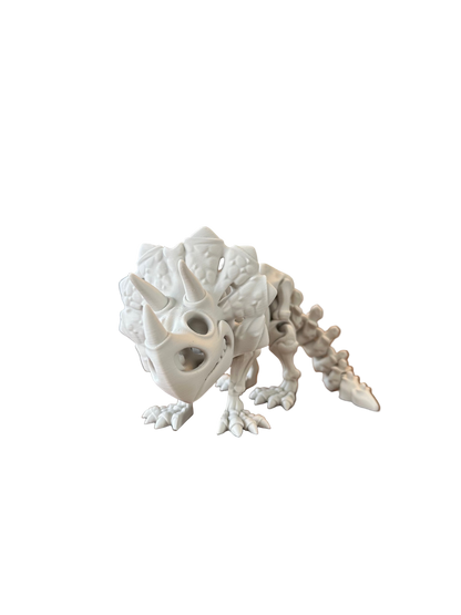 🦕 Triceratops– Squelette 3D articulé