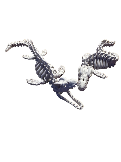 🐊 Mosasaurus – Articulated 3D Skeleton (40 cm)