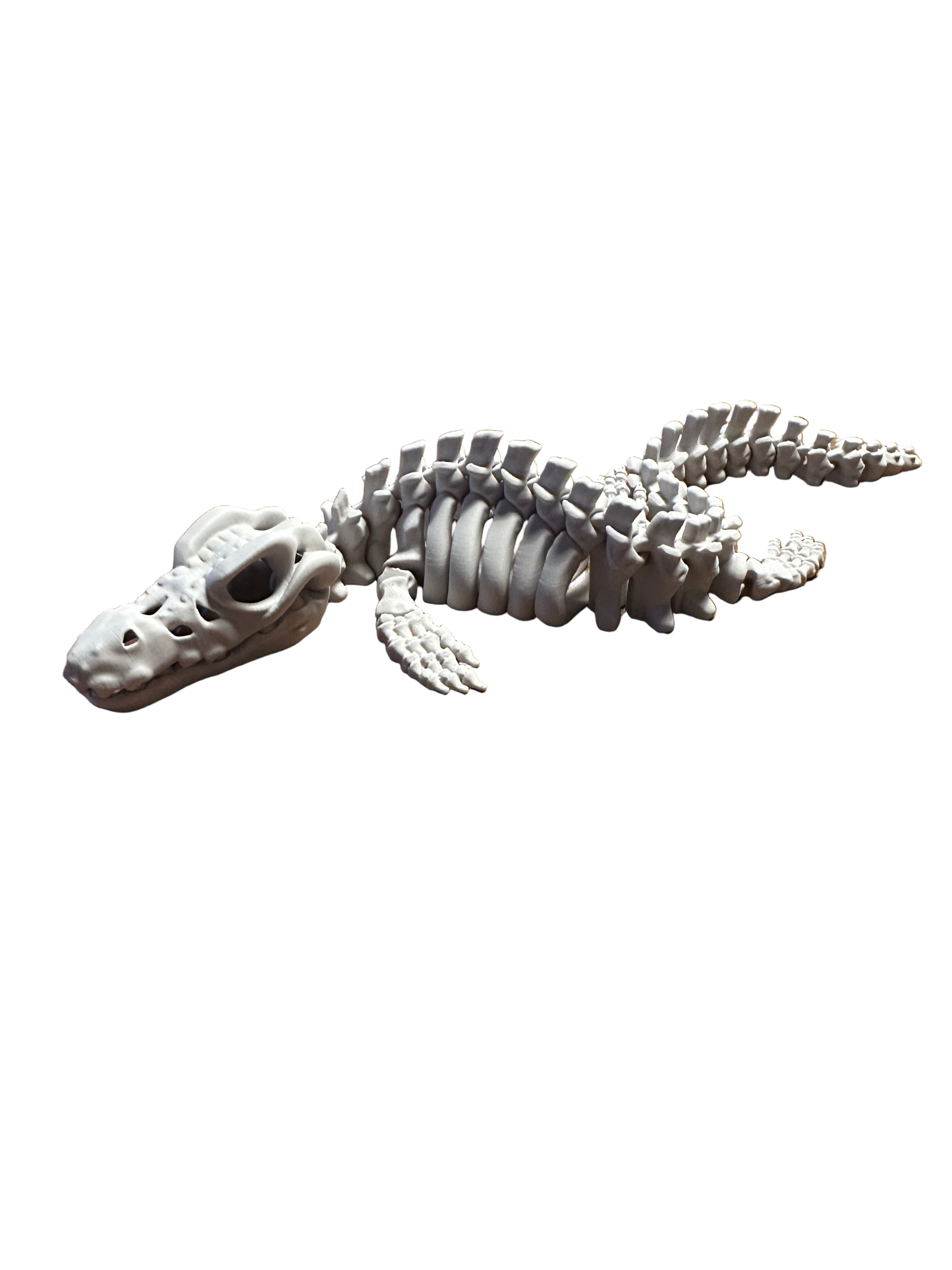 🐊 Mosasaurus – Articulated 3D Skeleton (40 cm)
