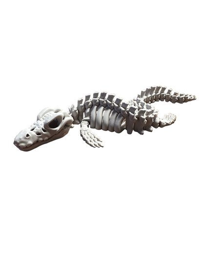 🐊 Mosasaurus – Articulated 3D Skeleton (40 cm)