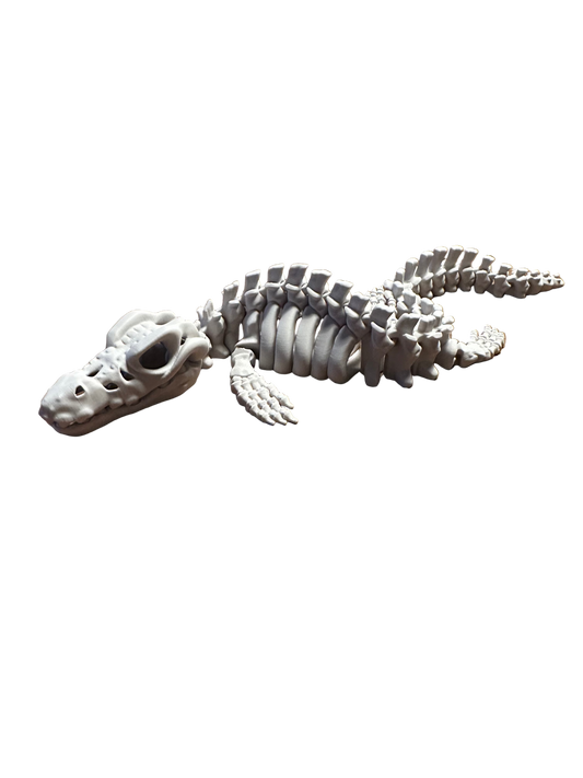 🐊 Mosasaurus – Squelette 3D articulé (40 cm)