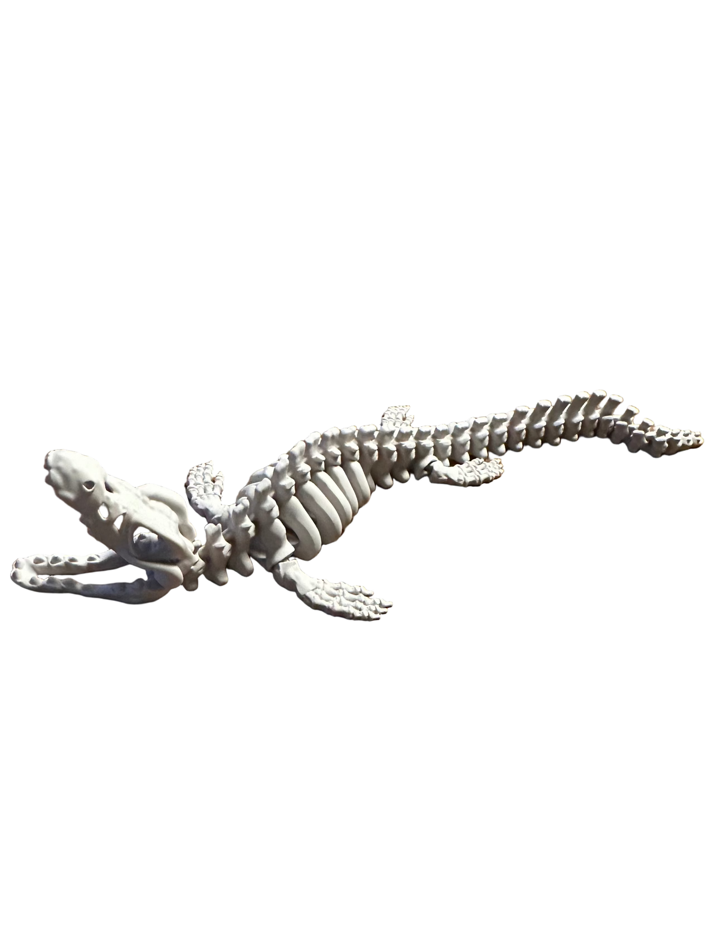 🐊 Mosasaurus – Articulated 3D Skeleton (40 cm)