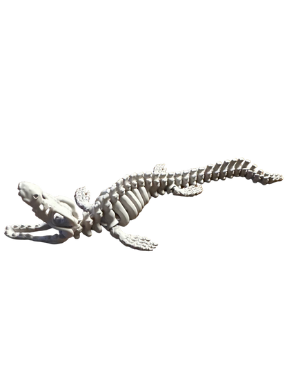 🐊 Mosasaurus – Articulated 3D Skeleton (40 cm)